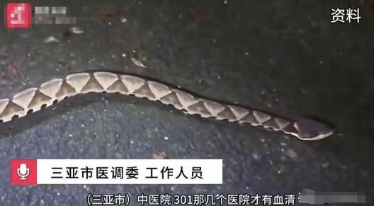 肤白貌美家中独女遗体惨不忍睹女子被蛇咬身亡照片曝光27岁(图8)