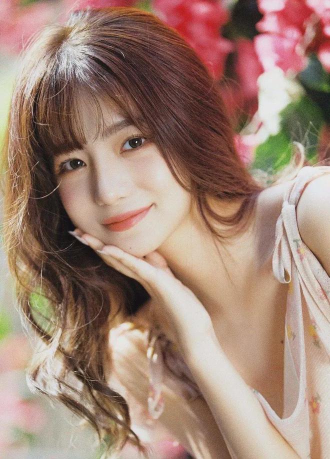 BA智库菊花 M
