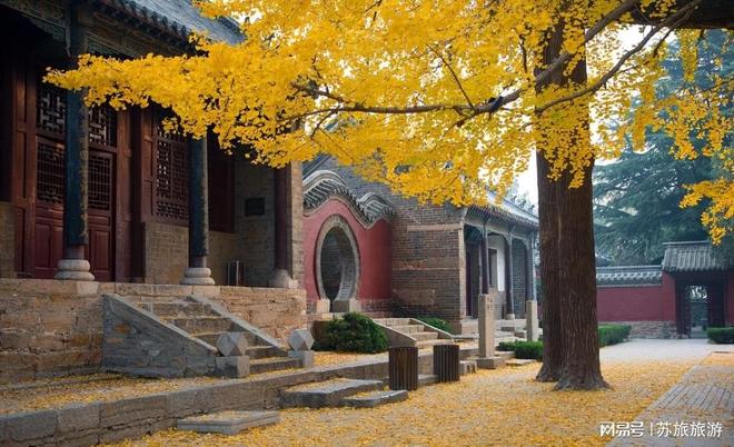 :银杏红叶+经典景点家庭游全攻略北京旅行社11月推荐5天4晚行程(图3) :银杏红叶+经典景点家庭游全攻略北京旅行社11月推荐5天4晚行程(图3)