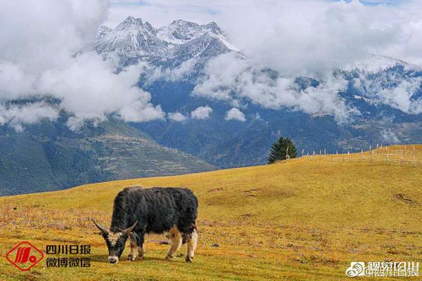 咬小头头原版观看蘑菇最新咬小头头原版观看蘑菇-(图2) 咬小头头原版观看蘑菇最新咬小头头原版观看蘑菇-(图2)